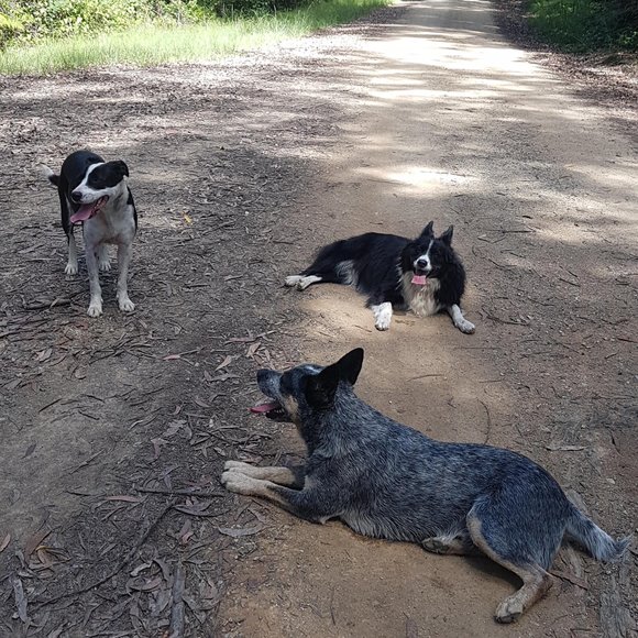 Meet your Posher, Ralph - Picture 1 of 1